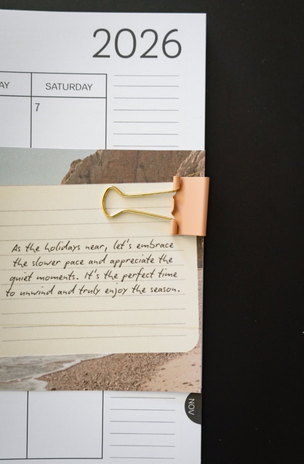 Rosy Binder Clip single