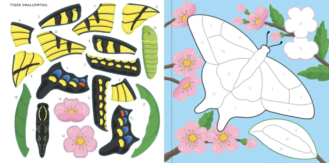 Color-by-Sticker (Butterflies and Bugs) - Image 3