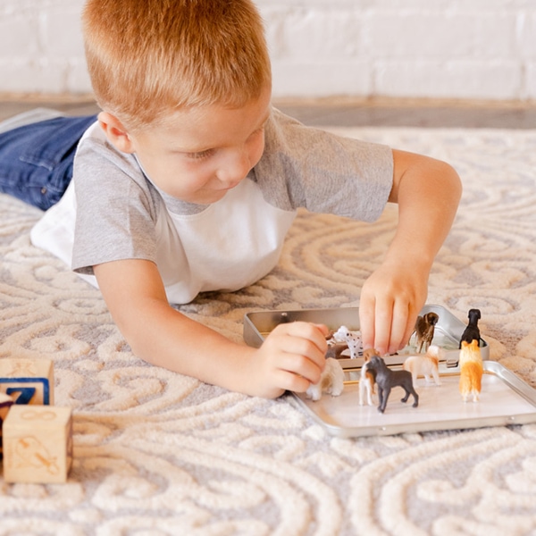 Child Playing with Dog Magnetic Animal Tin