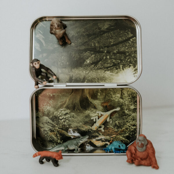 Jungle Magnetic Animal Tin