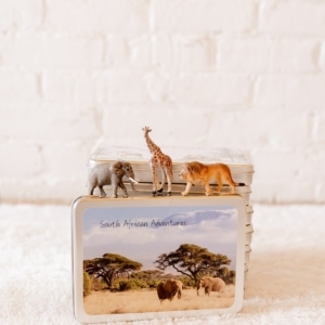 Large Magnetic Animal Tin with Safari Animals