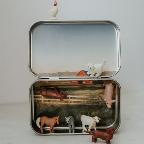 Ranch Magnetic Animal Tin