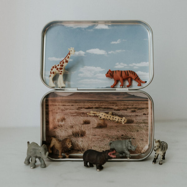 Safari Magnetic Animal Tin