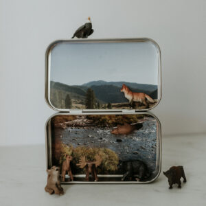 Wilderness Magnetic Animal Tin